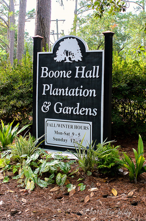 Boone Hall Plantation__DSC2599_October 29, 2015-Edit