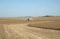 Harvest Time, Sioux Center, Iowa 2008