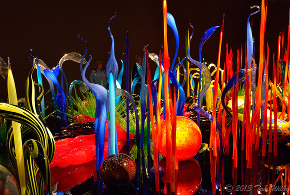 Chihuly Garden & Glass Exhibit
