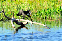 John Prince Park, Lake Worth, FL