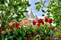 Temple Square